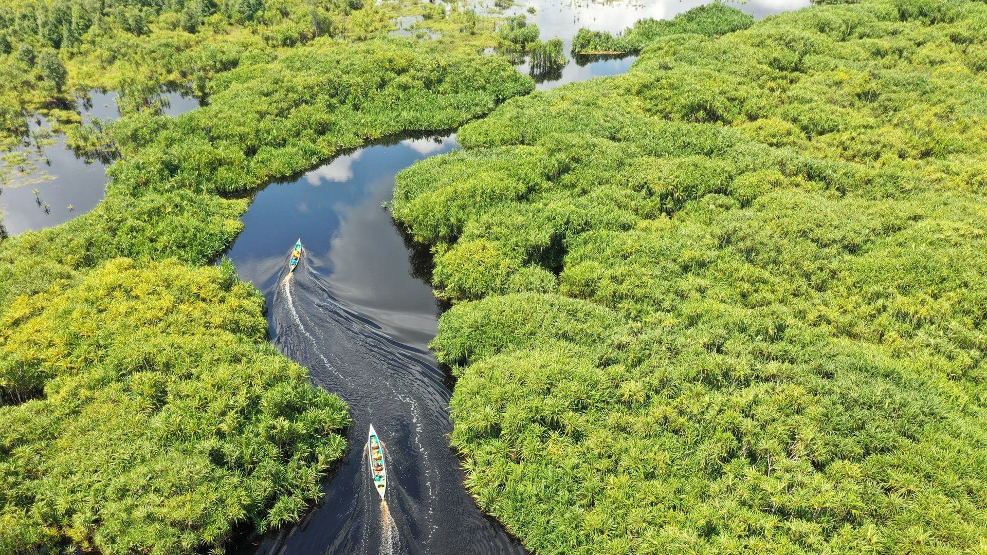 Conserve-Natural-Environments-1920x1080