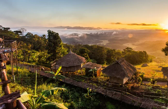 D11-Jungle-Huts-650x425