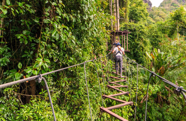 D12-Zipline-650x425