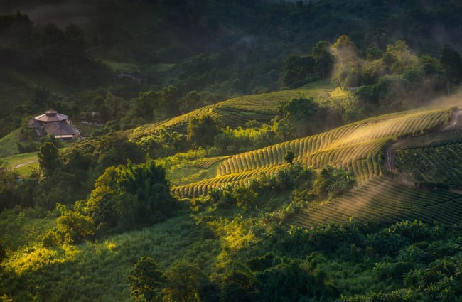 D5-Chiang-Rai-1-650x425