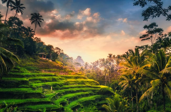 D8-Bali-650x425