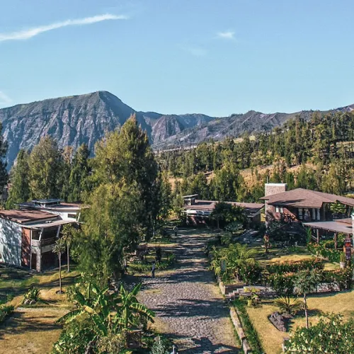 Jiwa-Jawa-Resort-Bromo-500x500
