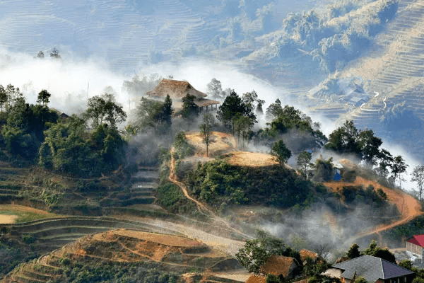 D4-Sapa (1)